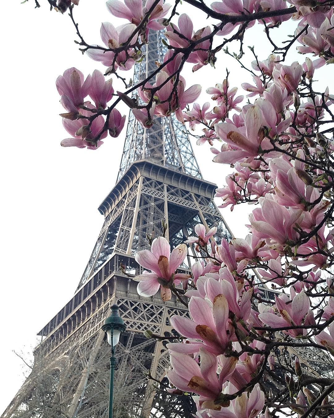 Oh It's Paris, It's Paris, And Spring Time Has Begun. Paris Tour Eiffel, Beautiful Wallpaper Background, Paris Wallpaper