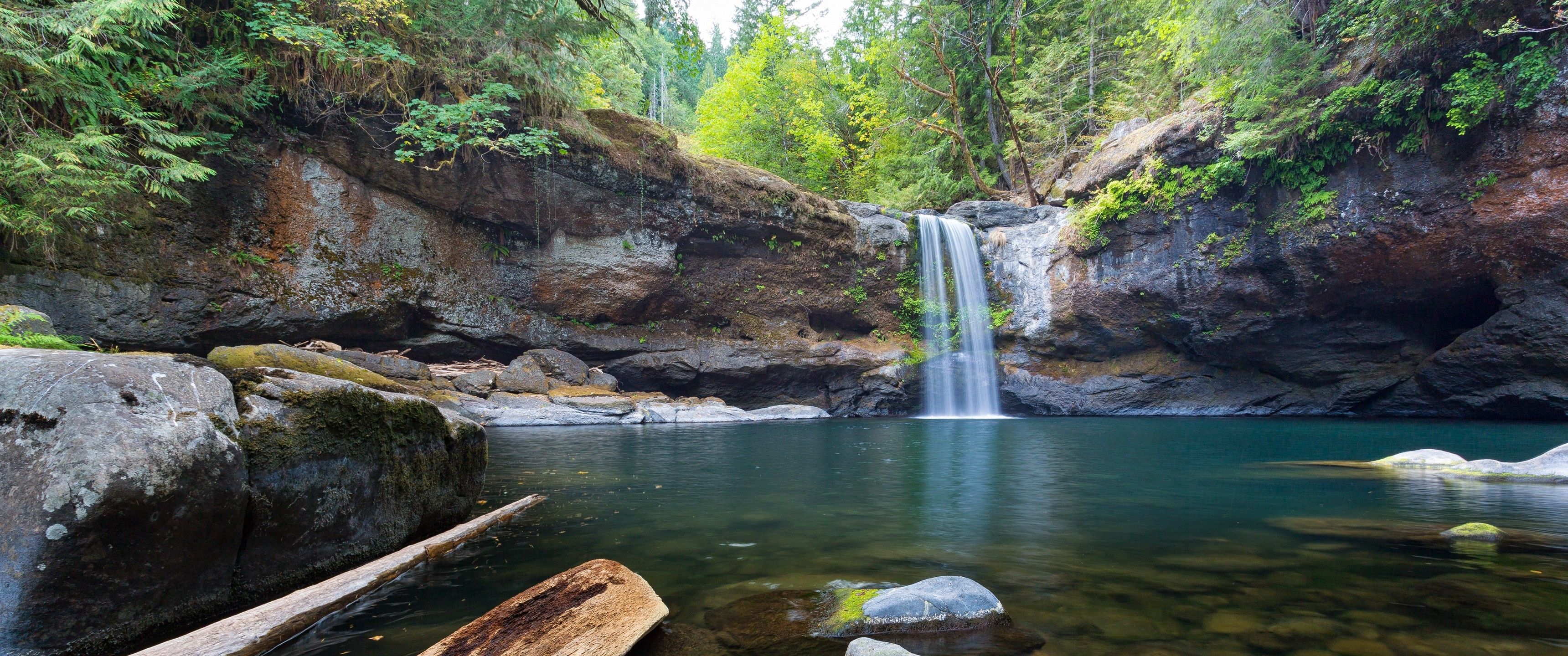 Wallpaper background picture