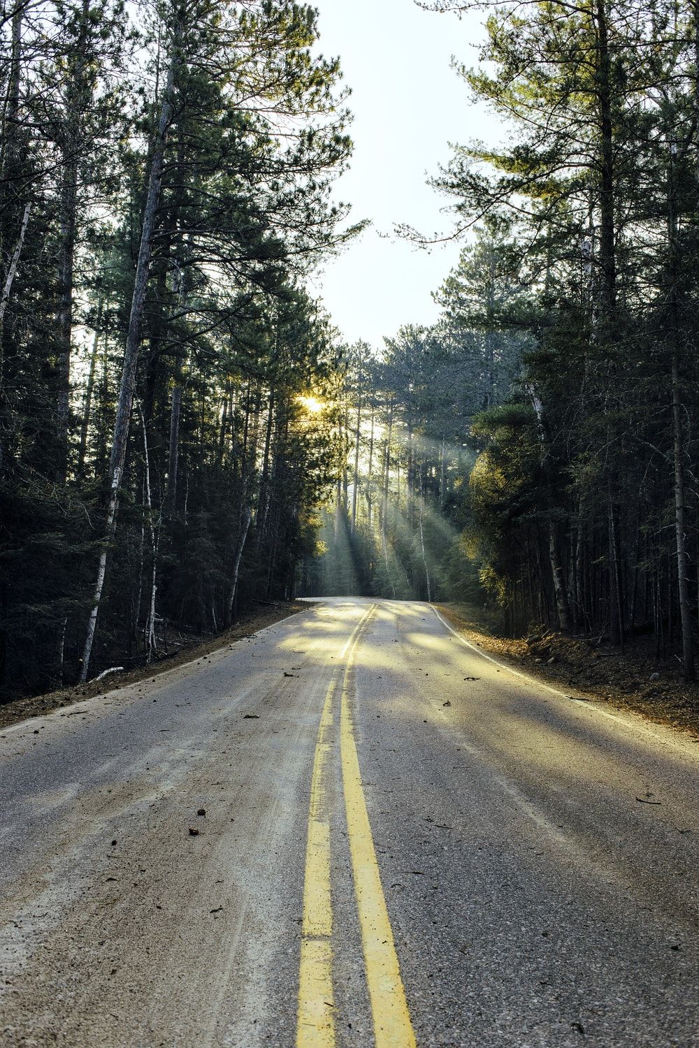 Best Empty Road Picture [HD]. Download Free Image