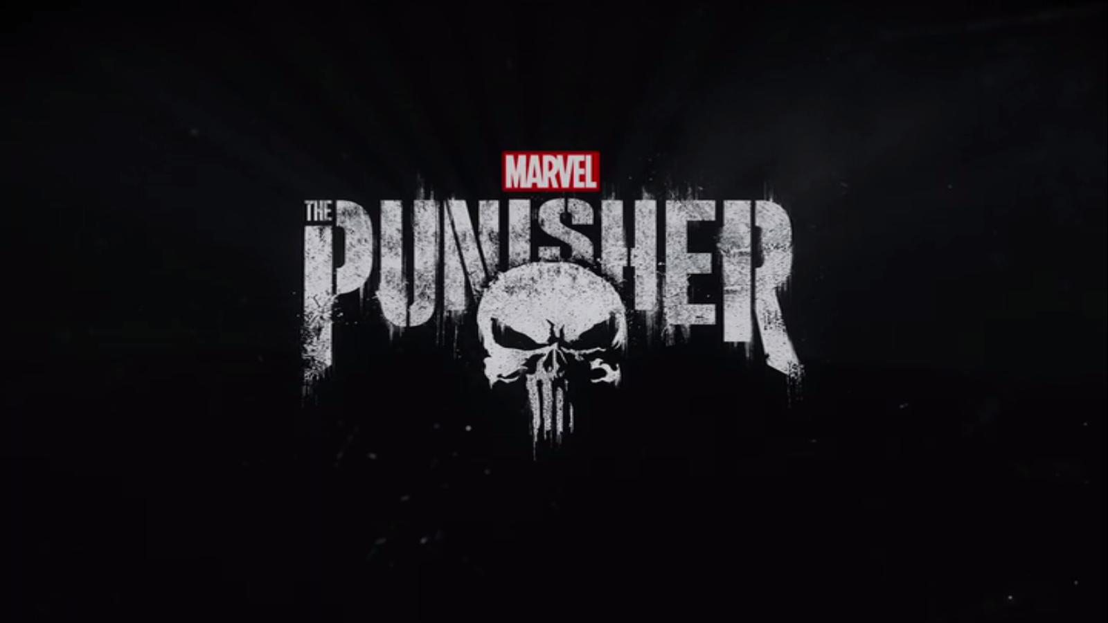The Punisher. Marvel Cinematic Universe