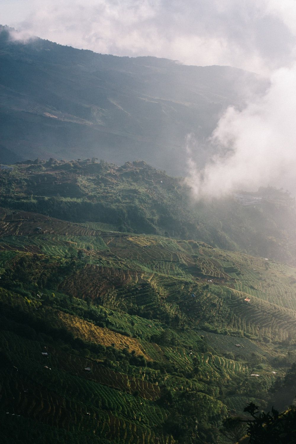 Dieng Picture. Download Free Image