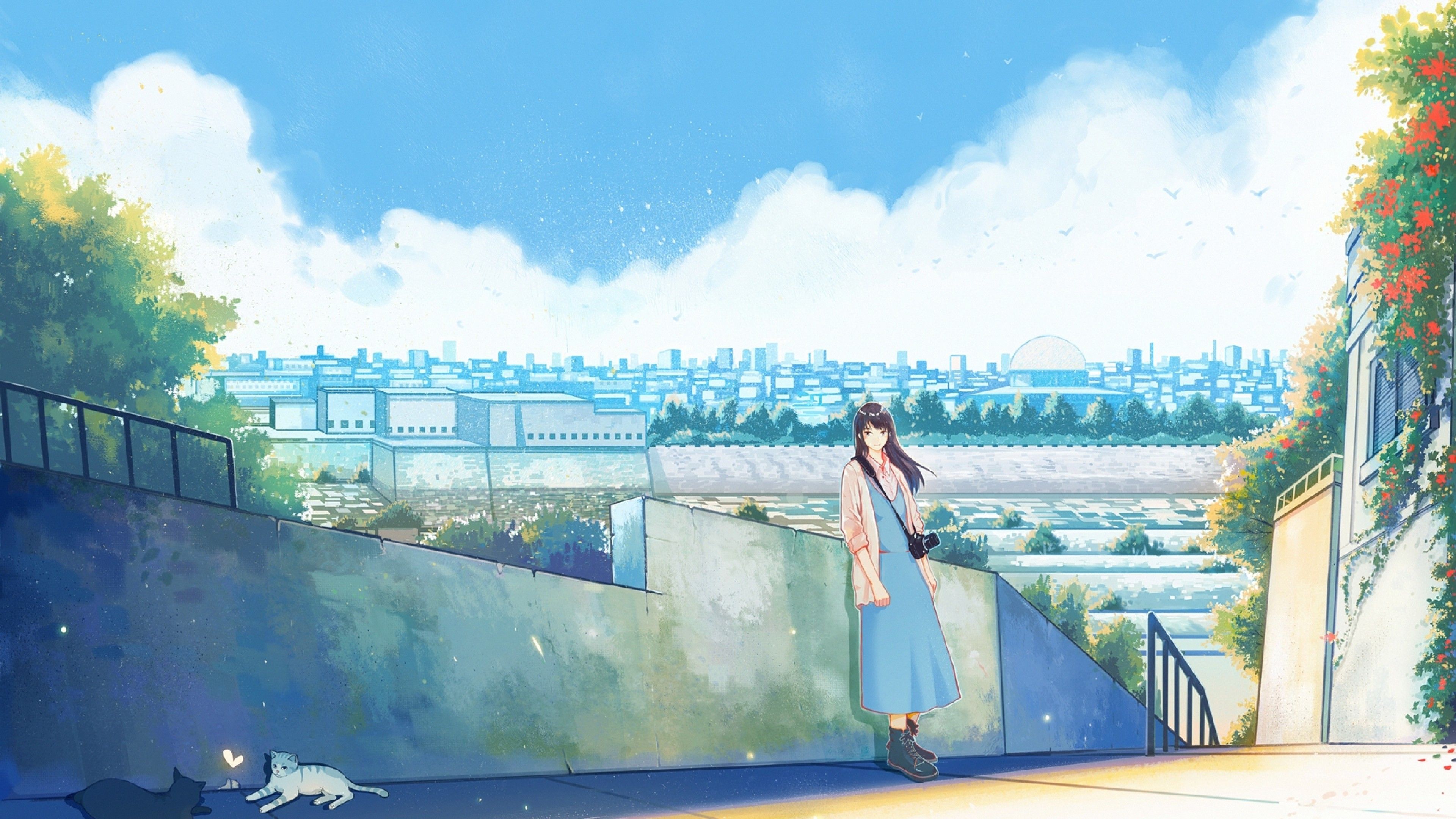 Download 3840x2160 Anime Girl, Cats, Cityscape, Slice Of Life Wallpaper for UHD TV