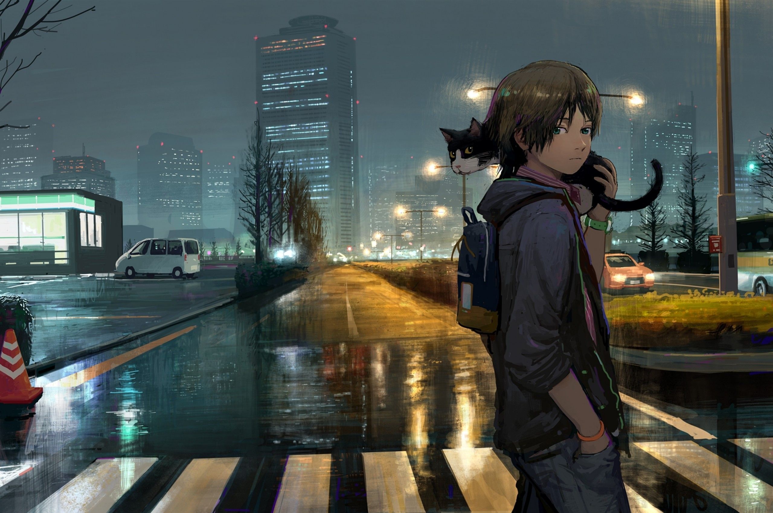 Download 2560x1700 Anime Boy, Cat, Street, Buildings, Night, Slice Of Life Wallpaper for Chromebook Pixel