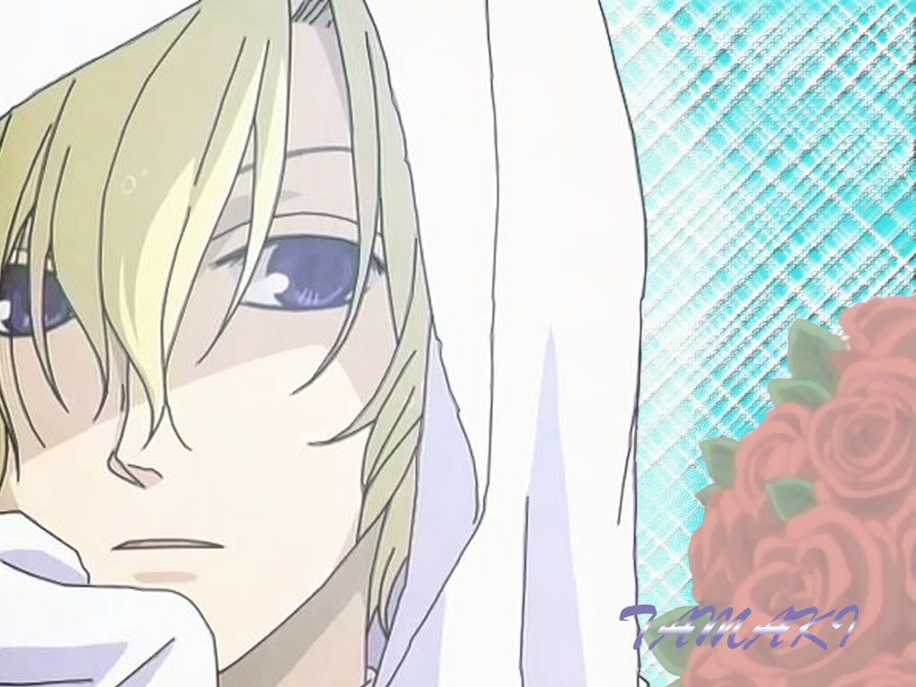 Ouran High School Host Club Wallpaper: Mystery of Tamaki