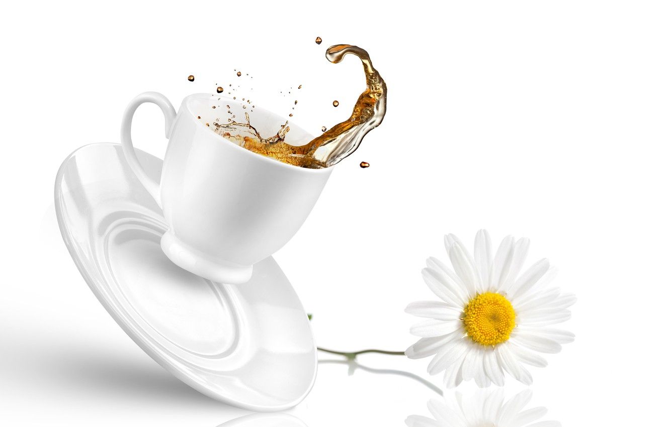 Wallpaper tea, splash, Daisy, drop, Cup, saucer image for desktop, section разное