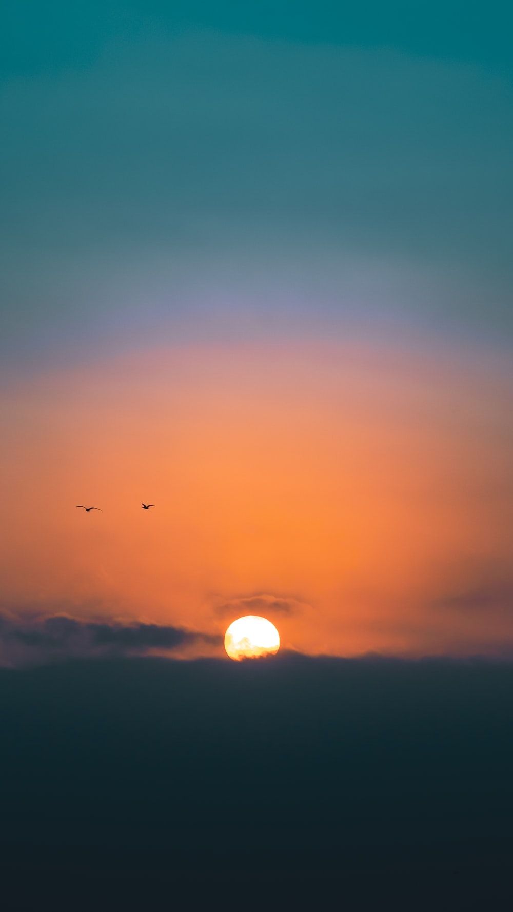 Birds Sunrise Picture. Download Free Image