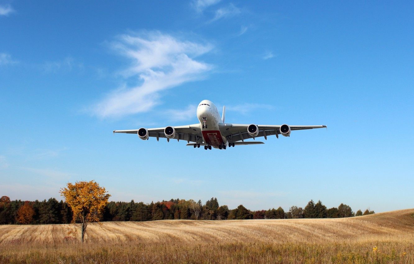 Wallpaper The sky, Field, White, The plane, Trees, Day, A380, Landing, Passenger, Airbus, In The Air, Airliner, Emirates Airline image for desktop, section авиация
