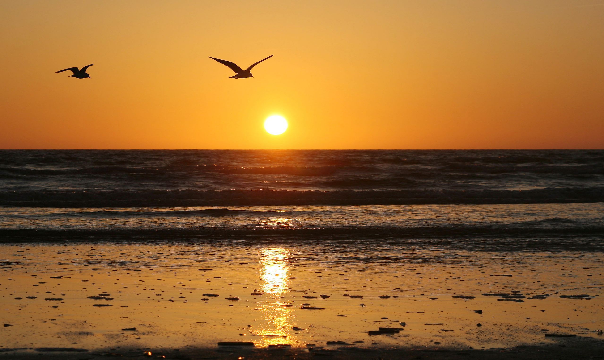 Sunrise Background Image