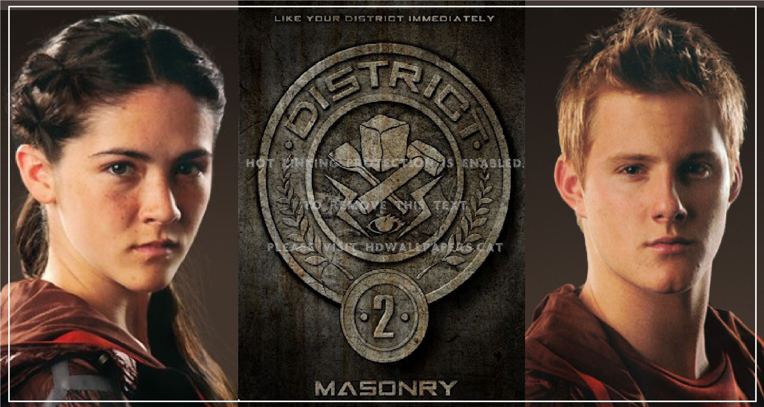 district 2 tributes the hunger games cato