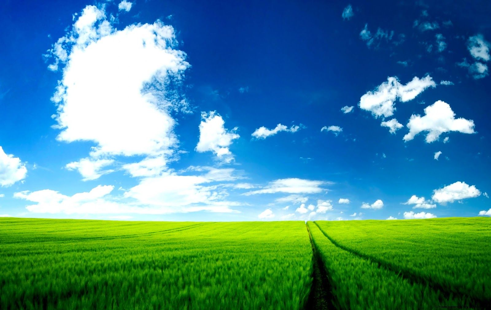 Summer Wallpaper. Full HD Wallpaper