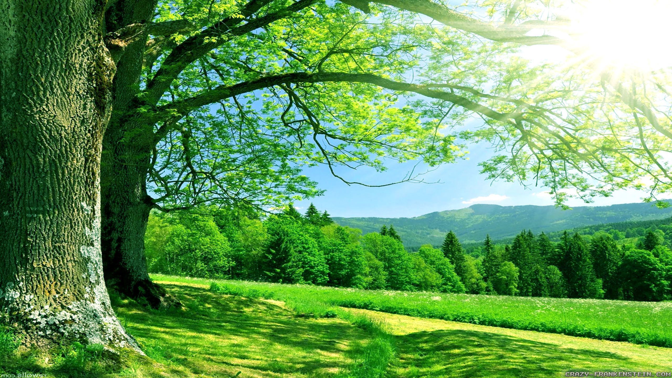 PC 4k Landscape Wallpapers Wallpaper Cave PC 4k Landscape Wallpapers Wallpaper Cave