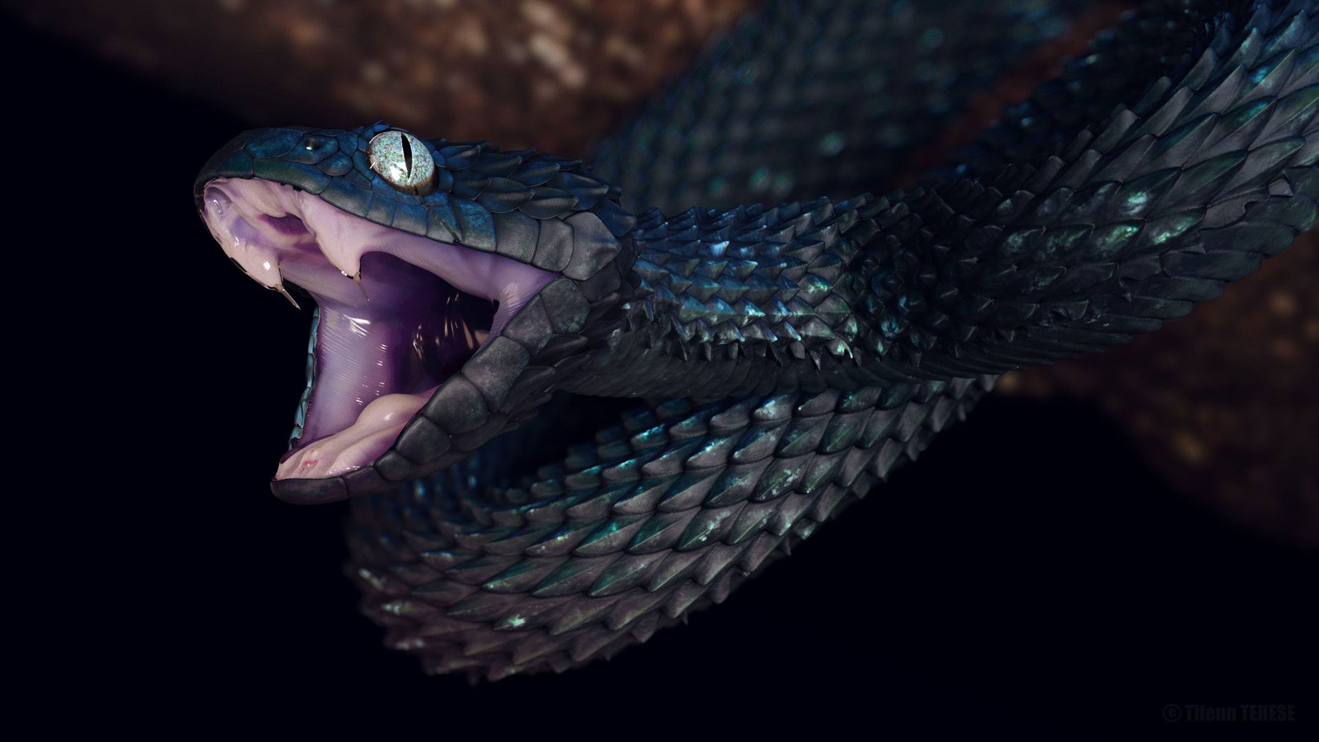 Tifenn Terese Viper snake