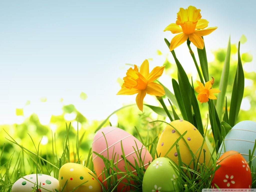Download Free 15 Easter HD Wallpaper. Easter wallpaper, Easter background, Spring wallpaper