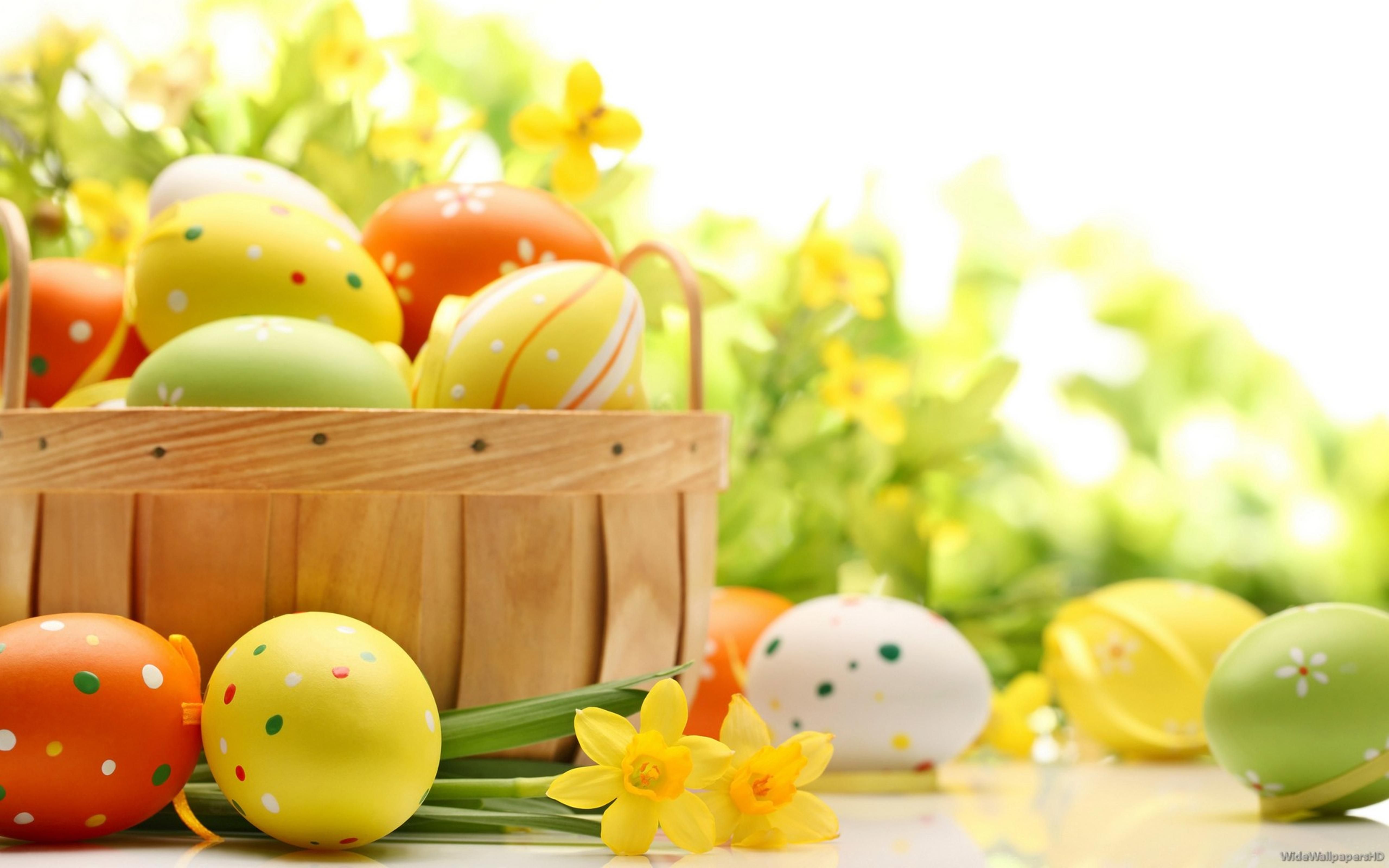 Spring Yellow Flowers And Colorful Easter Eggs Happy Holiday