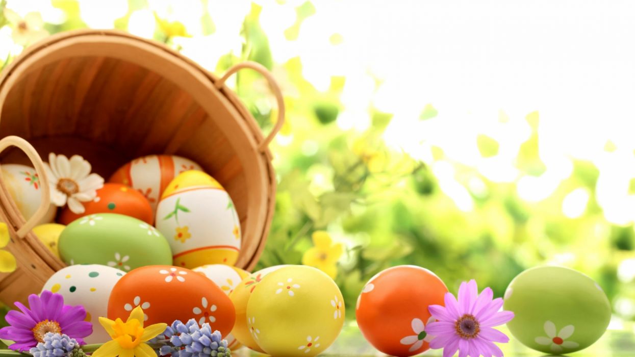 Easter eggs spring holiday wallpaperx1440