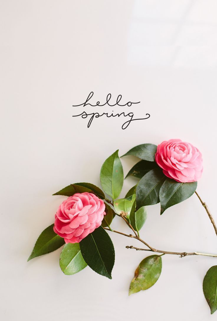 Hello spring. Hello spring wallpaper, Hello spring, Spring vibes