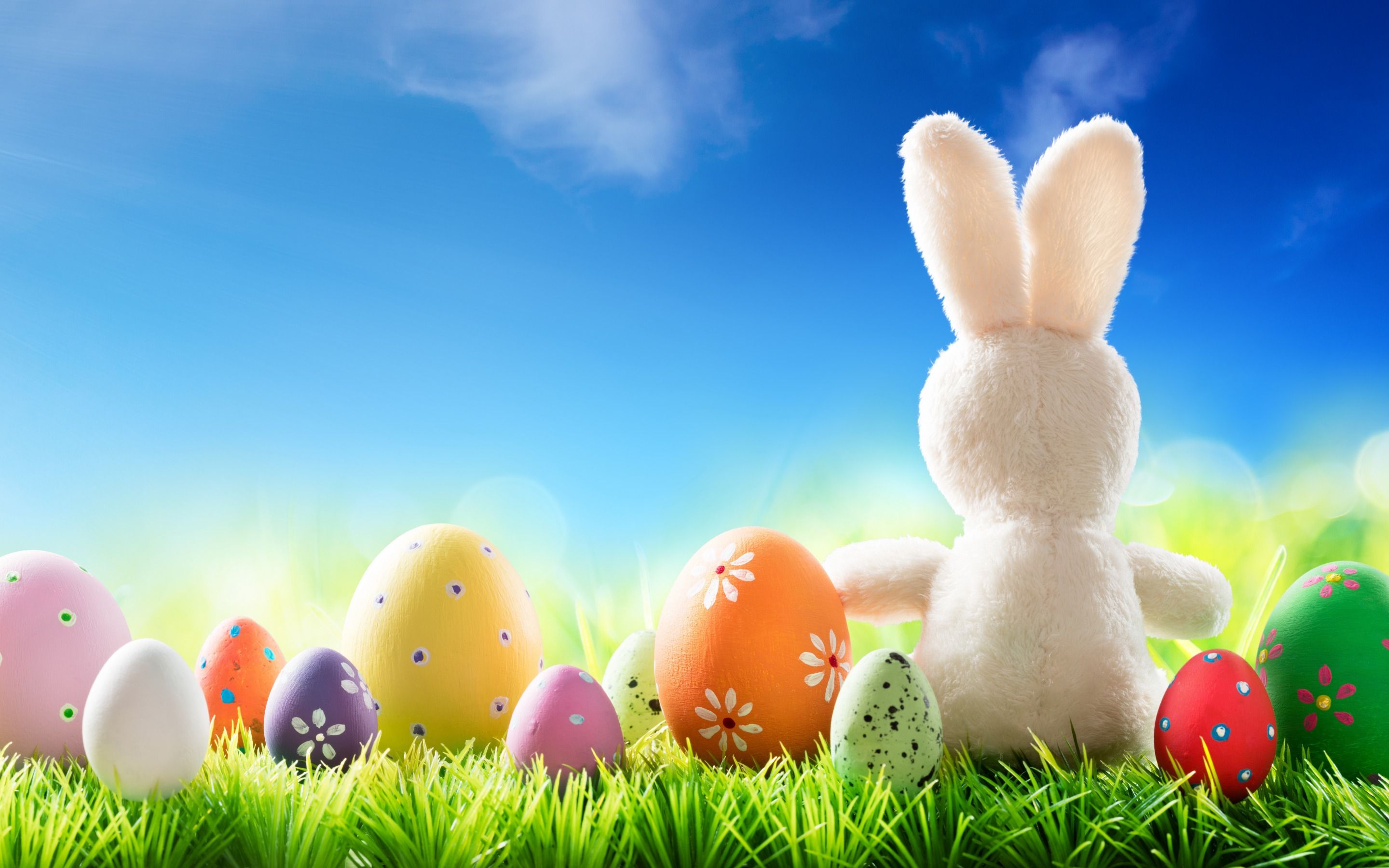Download wallpaper Easter eggs, white rabbit, spring, colorful Easter eggs, Easter, green grass, decoration for desktop with resolution 2880x1800. High Quality HD picture wallpaper