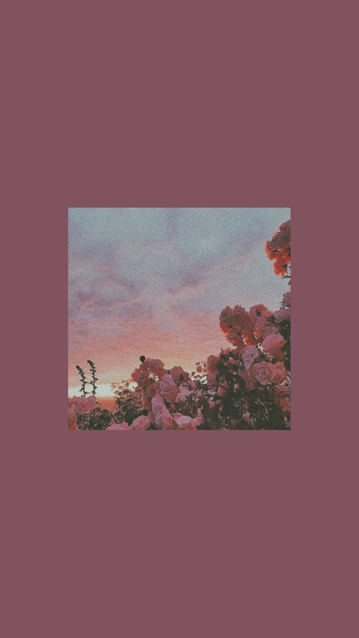 Artsy Aesthetic Wallpapers Wallpaper Cave