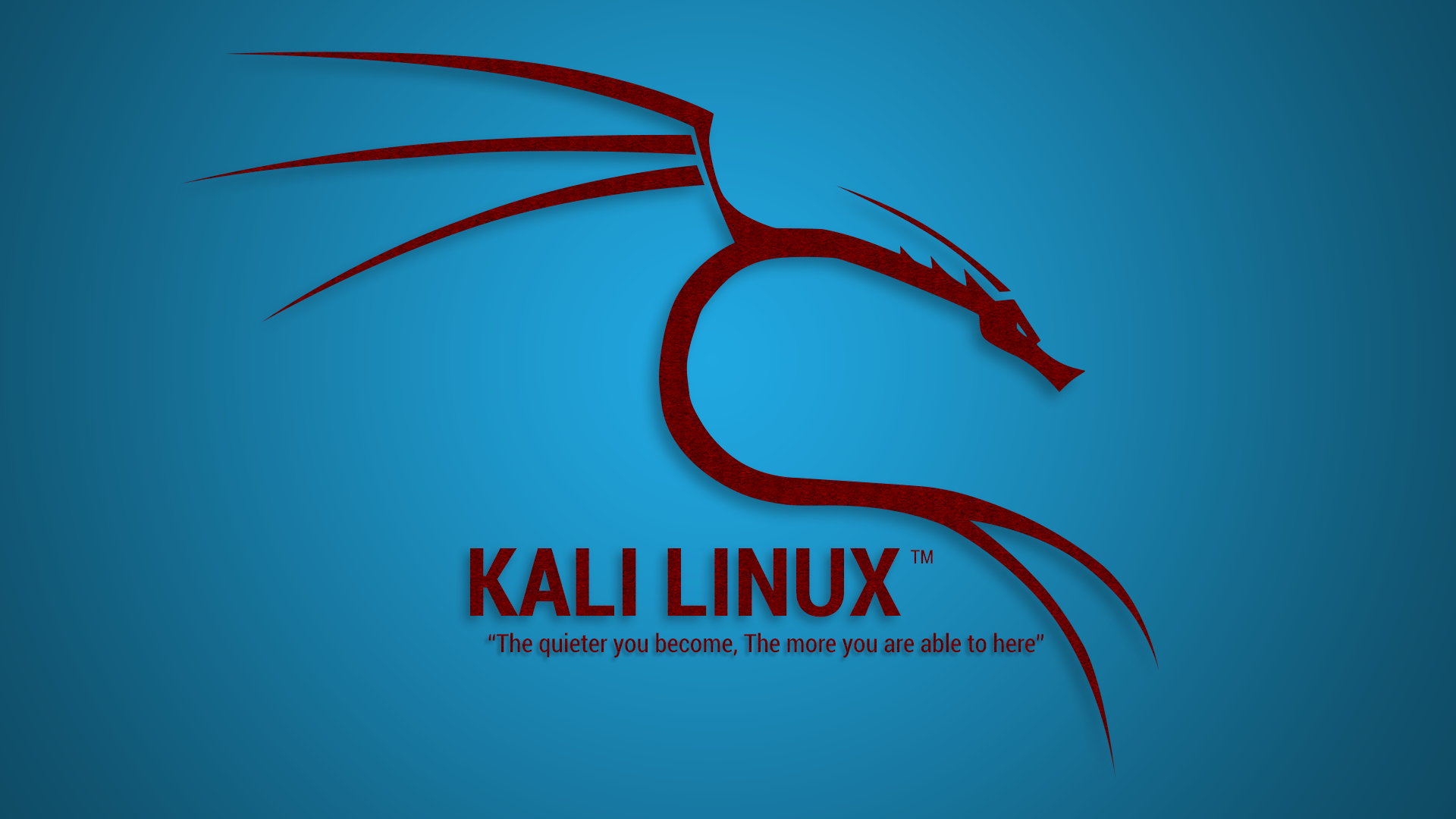 ZIIXON93. Linux, Vendetta quotes, Kali
