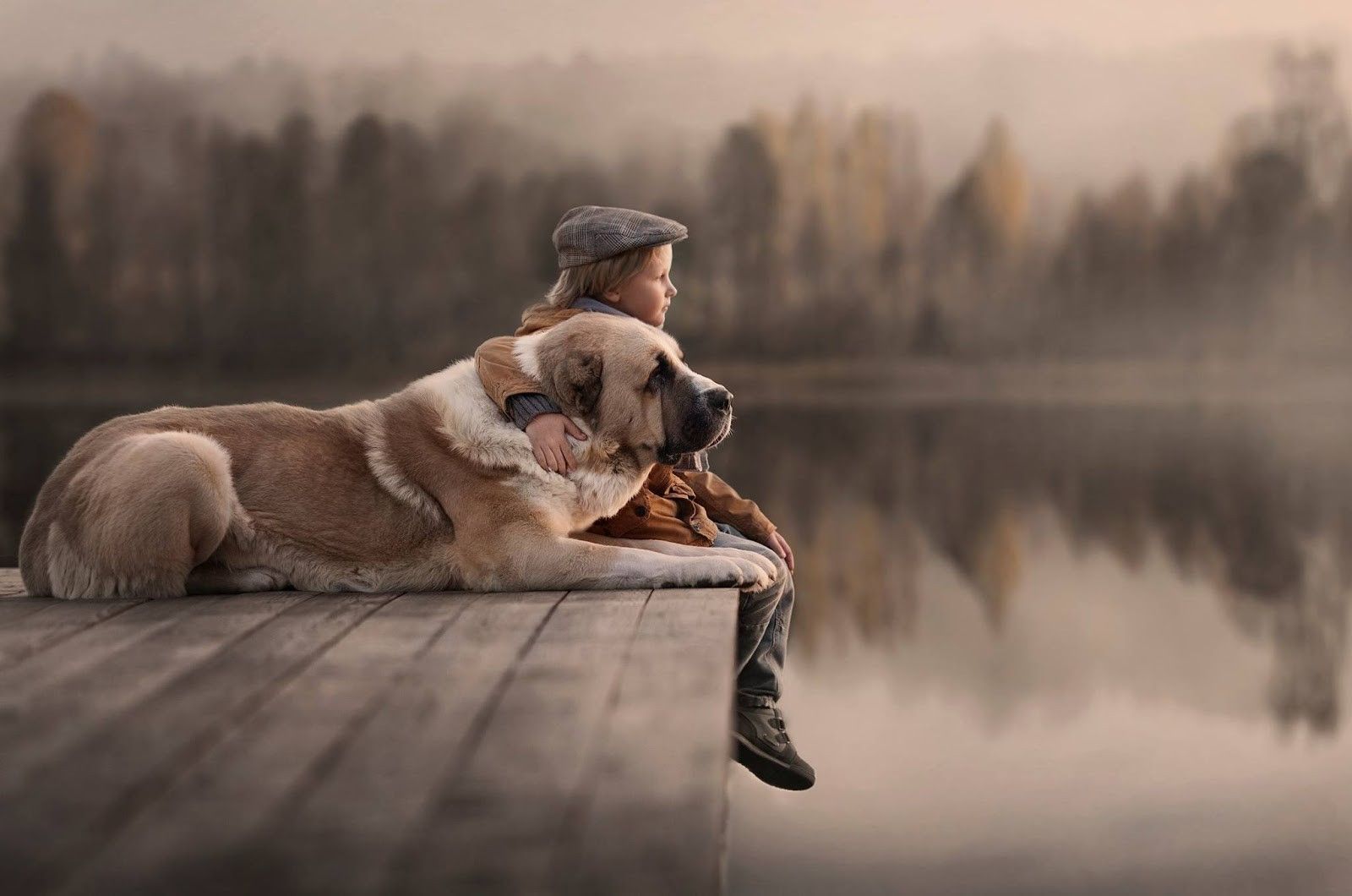 Boy With Dog Wallpapers - Wallpaper Cave