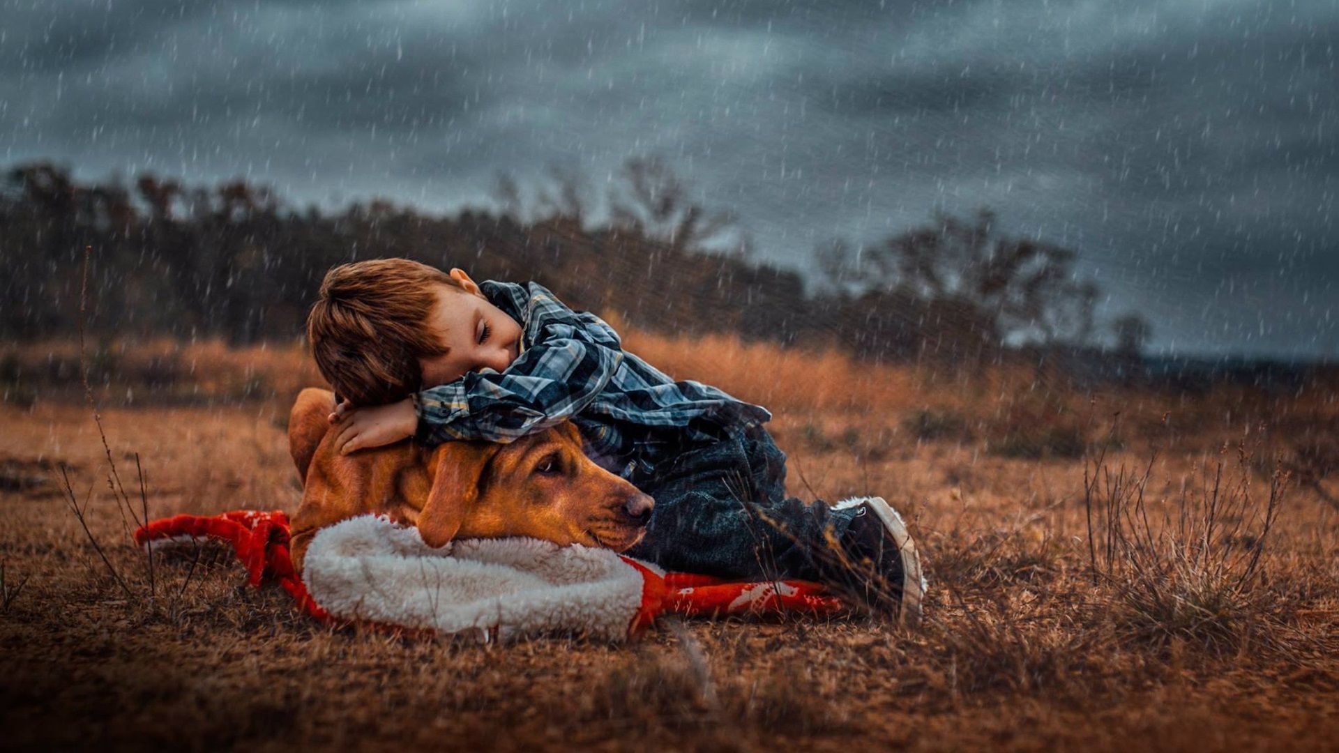 Boy And Dog Wallpaper Free Boy And Dog Background