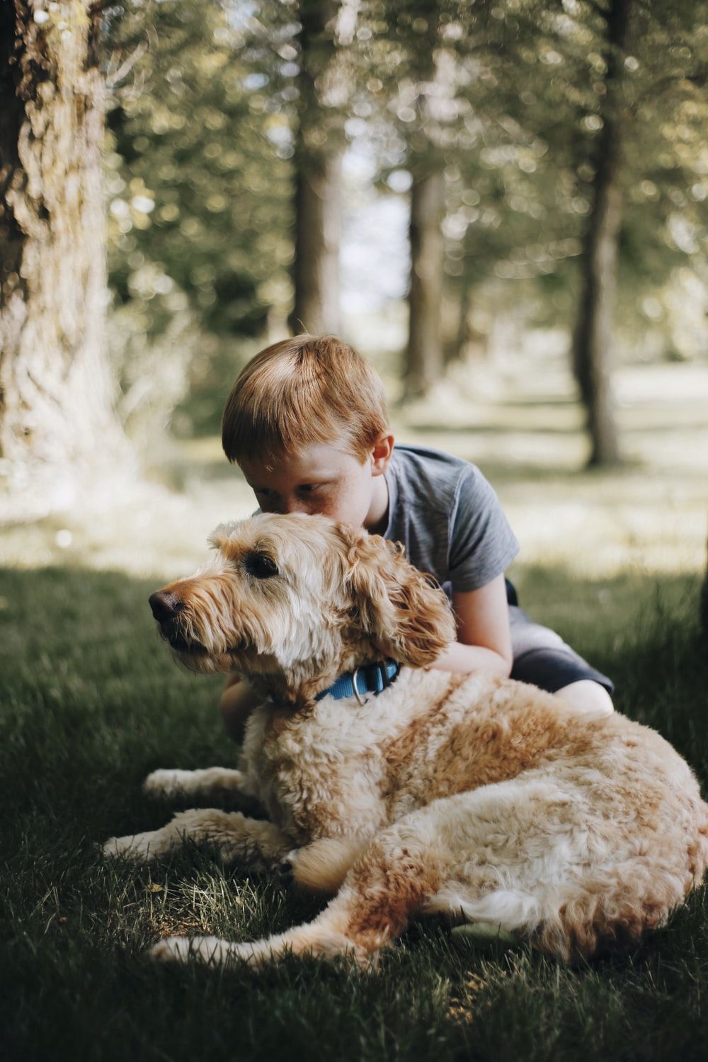 Boy And Dog Picture. Download Free Image