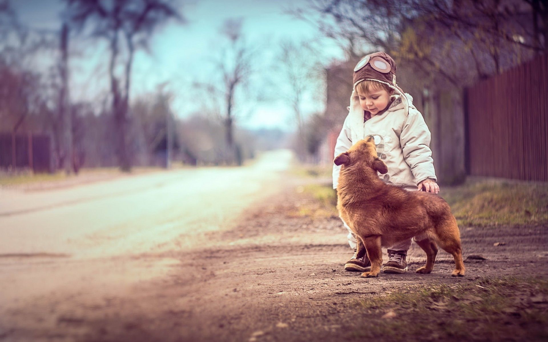 Wallpaper Cute boy with dog 1920x1200 HD Picture, Image