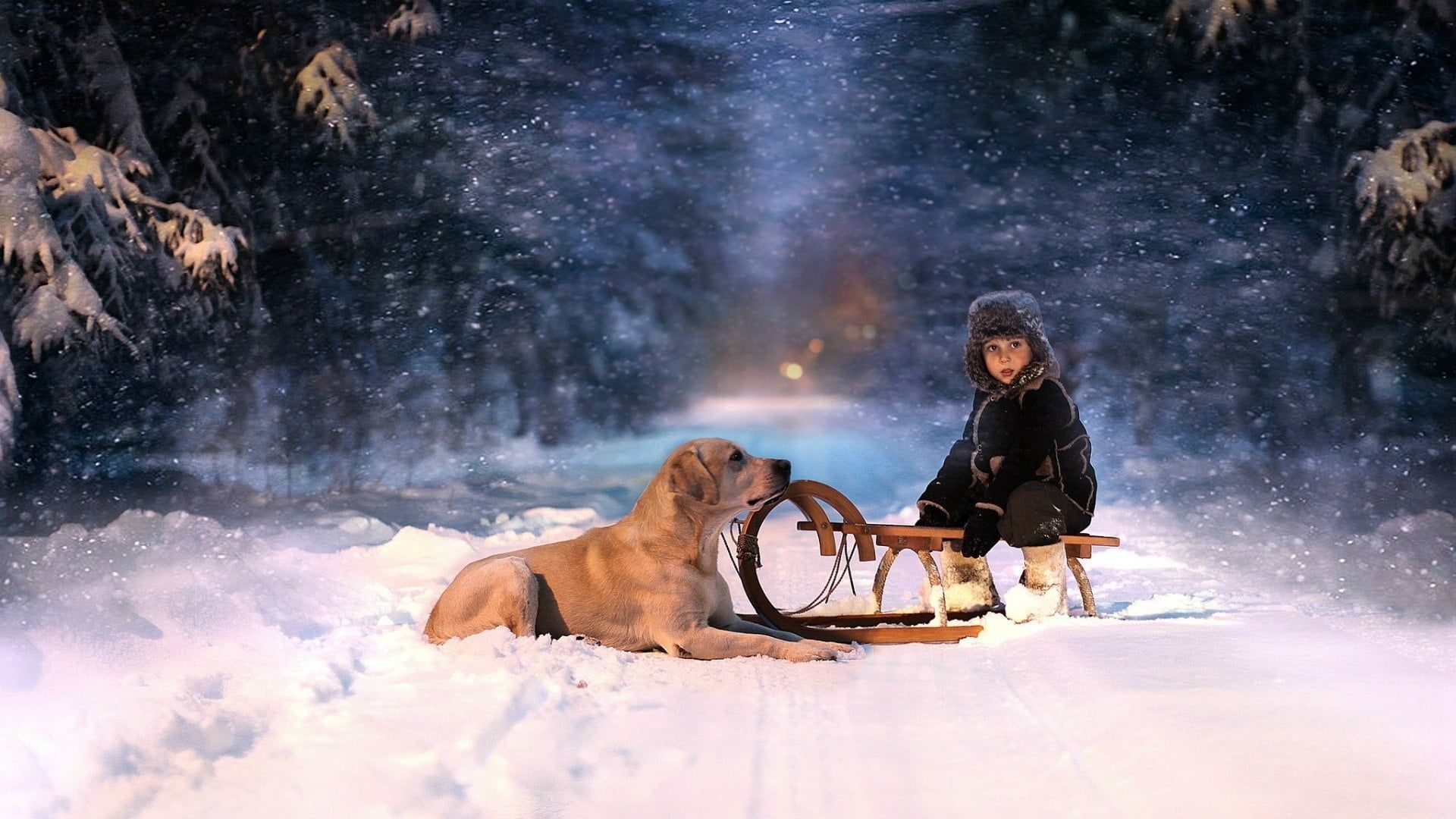 toddler's black winter coat and brown sled #boy #sled #dog #snow P # wallpaper #hdwallpaper #desktop. Black winter coat, Boy dog, Dogs
