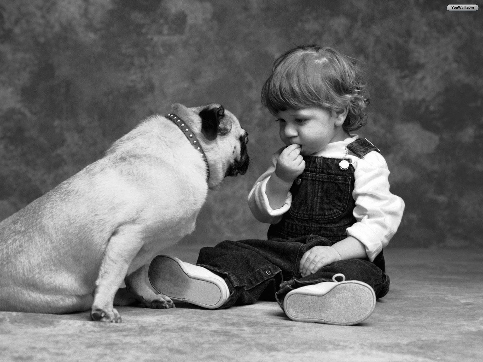Cute Little Boy With Dog Best Friend Wallpaper Day With Dogs
