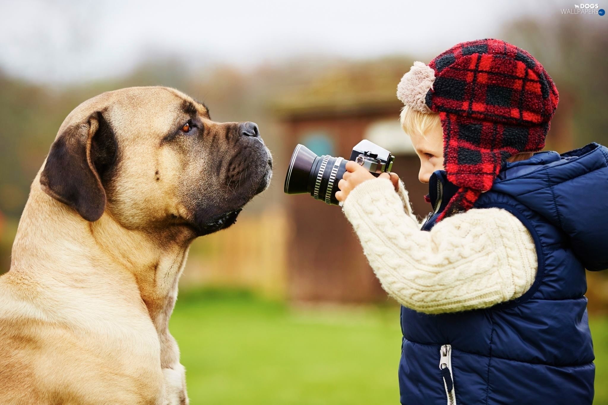 dog, Camera, boy wallpaper: 2048x1366