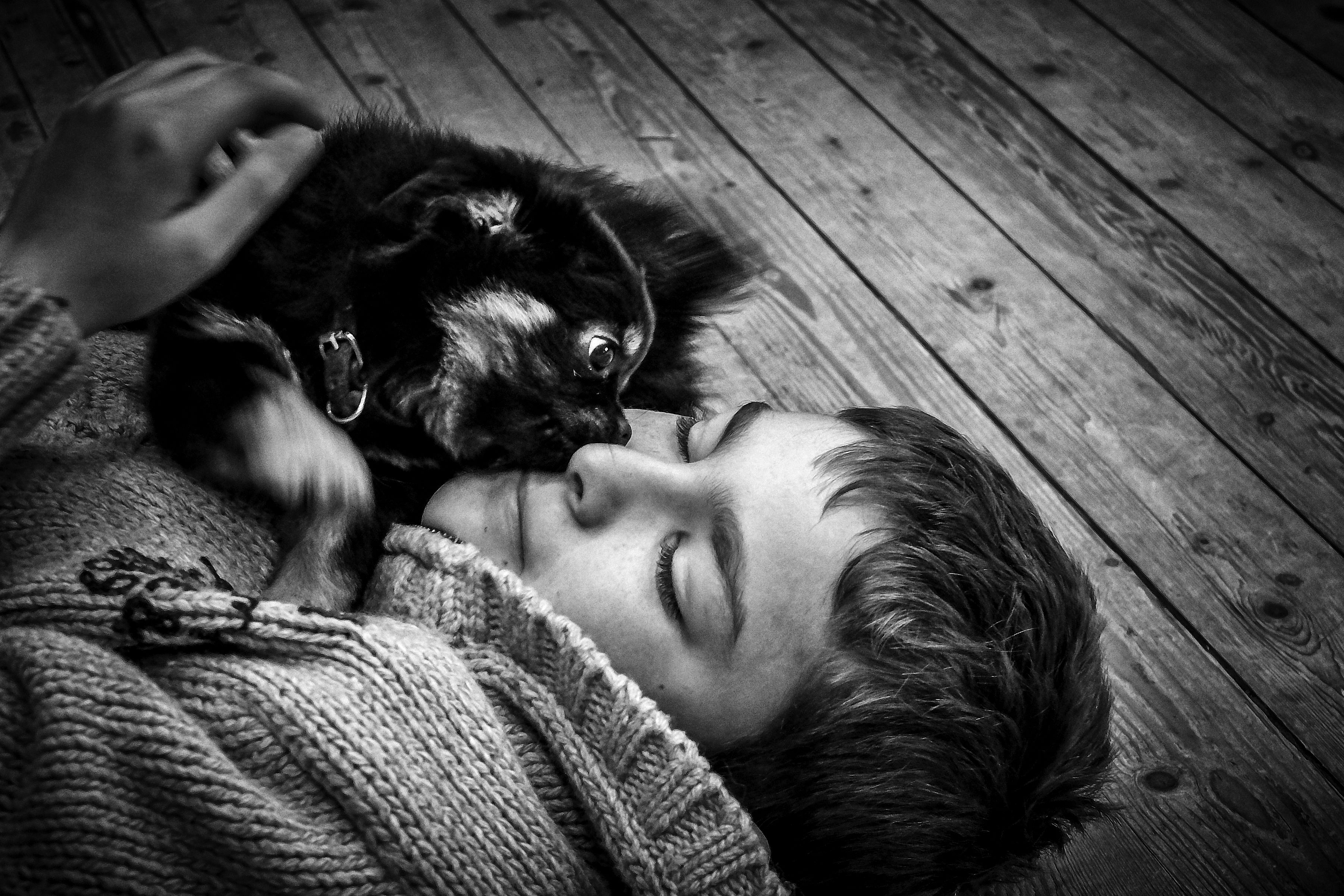 Wallpaper, chiot, puppy, pet, animal, dog, chihuahua, child, kid, boy, enfant, chien, bnw, blackwhite, blackandwhite, blancetnoir, monochrome, fuji, fujifilm, fujix30, aquitaine, gironde 3604x2403