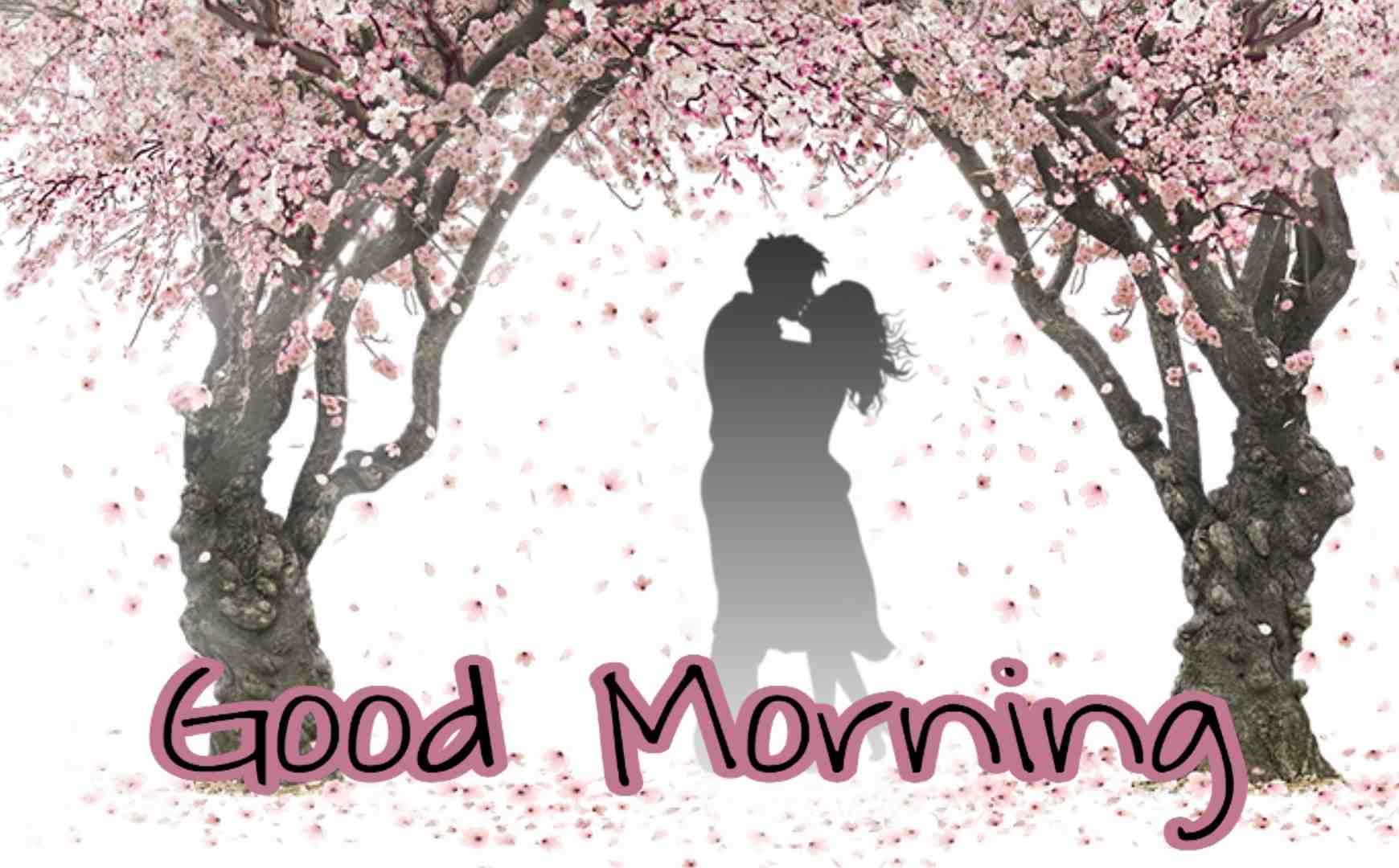 141+ Romantic Good Morning Image For Love Couple HD.
