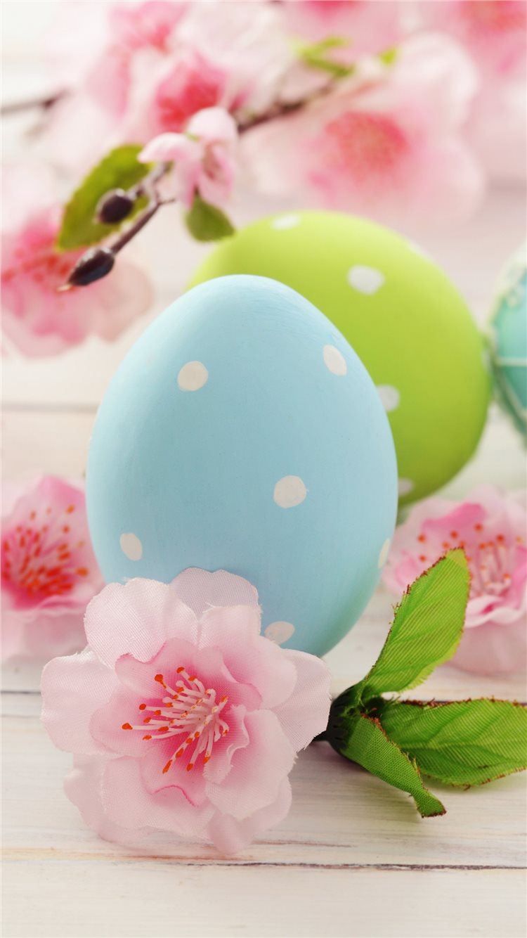 Easter eggs Flowers 5K Celebrations 5569 iPhone 8 Wallpaper Free Download