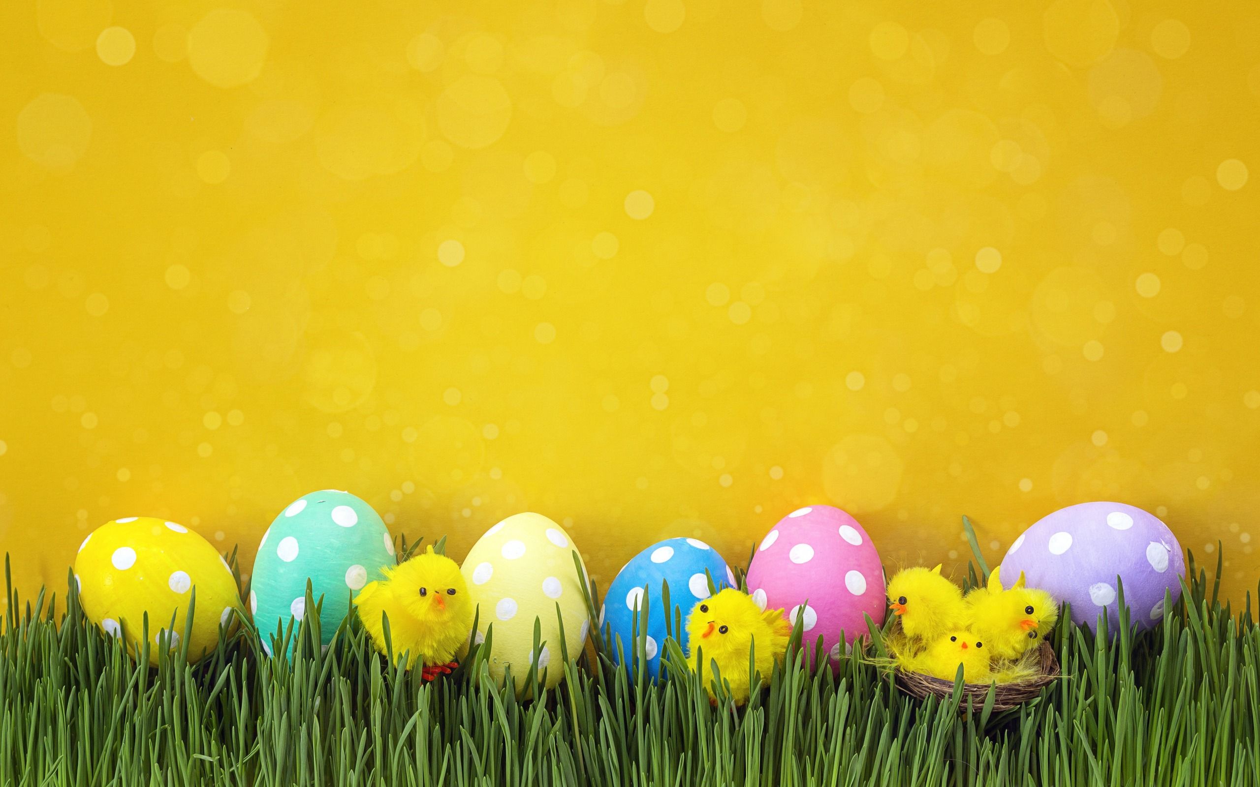 Download wallpaper Easter eggs, yellow wall, yellow chicken, Easter, decoration, spring for desktop with resolution 2560x1600. High Quality HD picture wallpaper