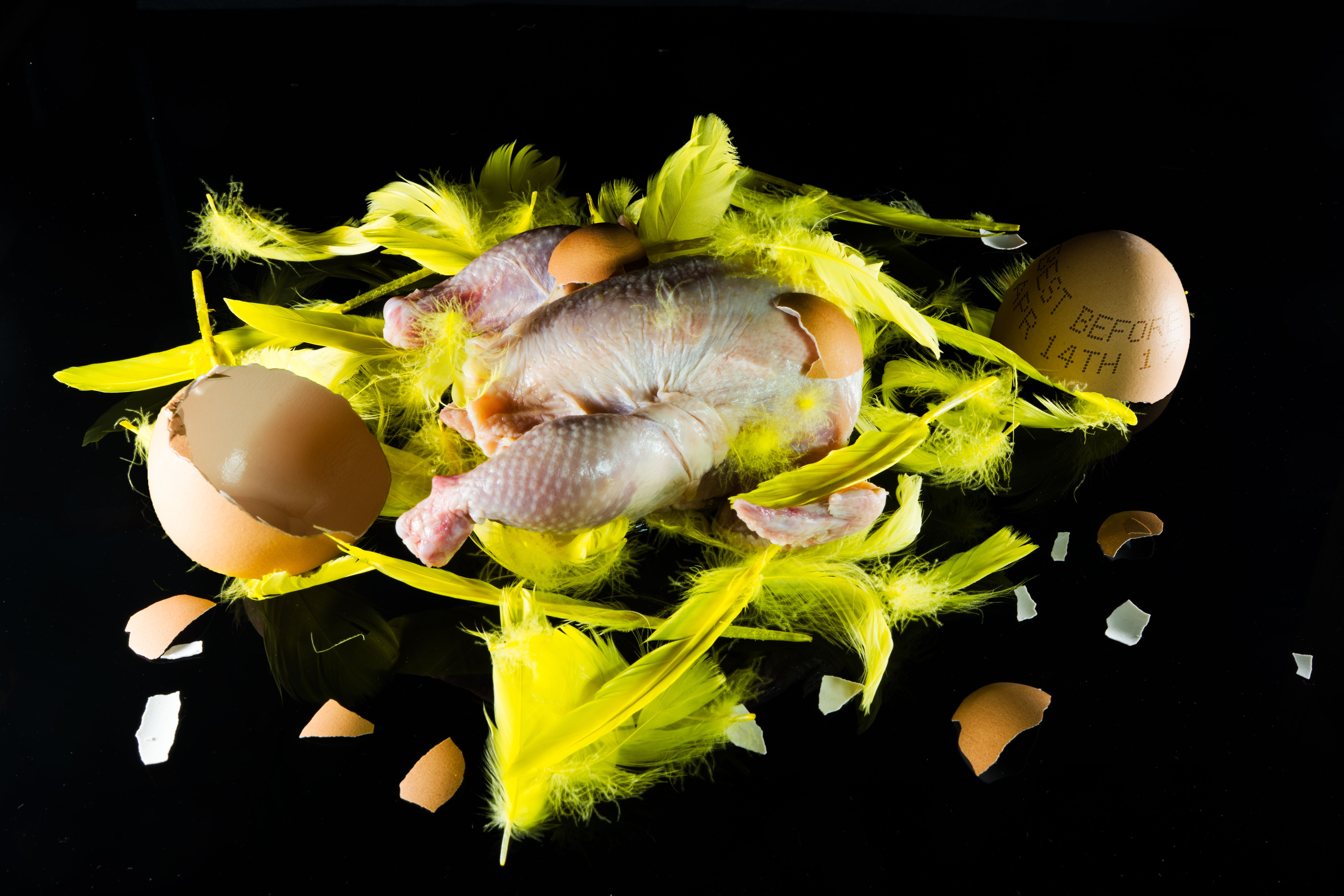 Wallpaper, Easter, eggs, egg, Chicken, jesus, feathers, poultry, yellow, feather, alternative, religion, religious, meat, hatch, nature, shell, black, background, reflection, reflect 7952x5304