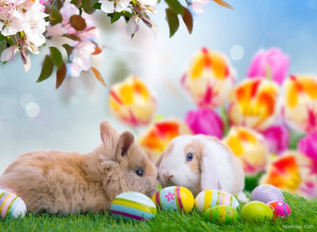 Kawaii Easter Bunny
