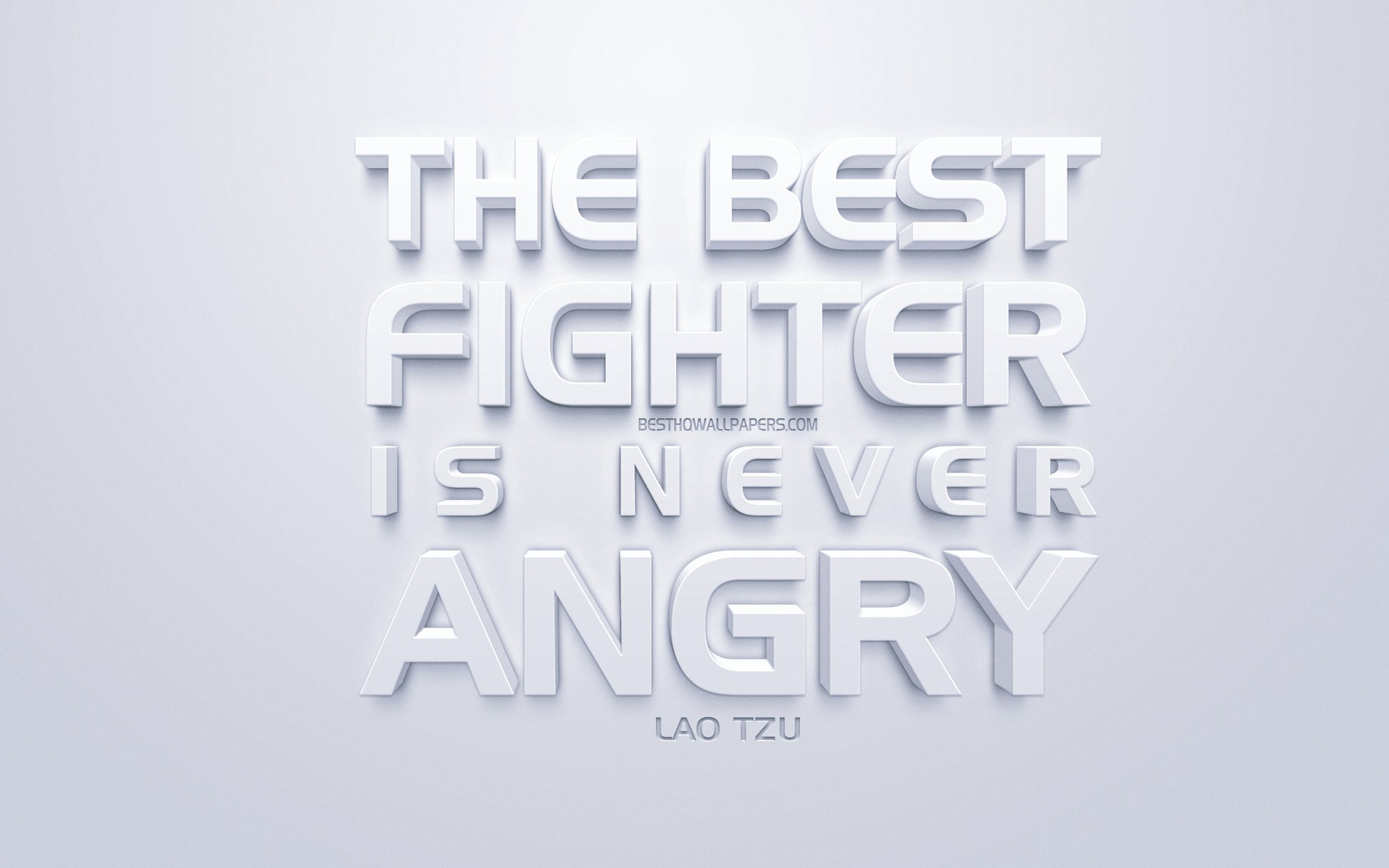 Download wallpaper The best fighter is never angry, Lao Tzu quotes, white 3D art, quotes about fighters, popular quotes, inspiration, white background, motivation for desktop with resolution 2560x1600. High Quality HD picture