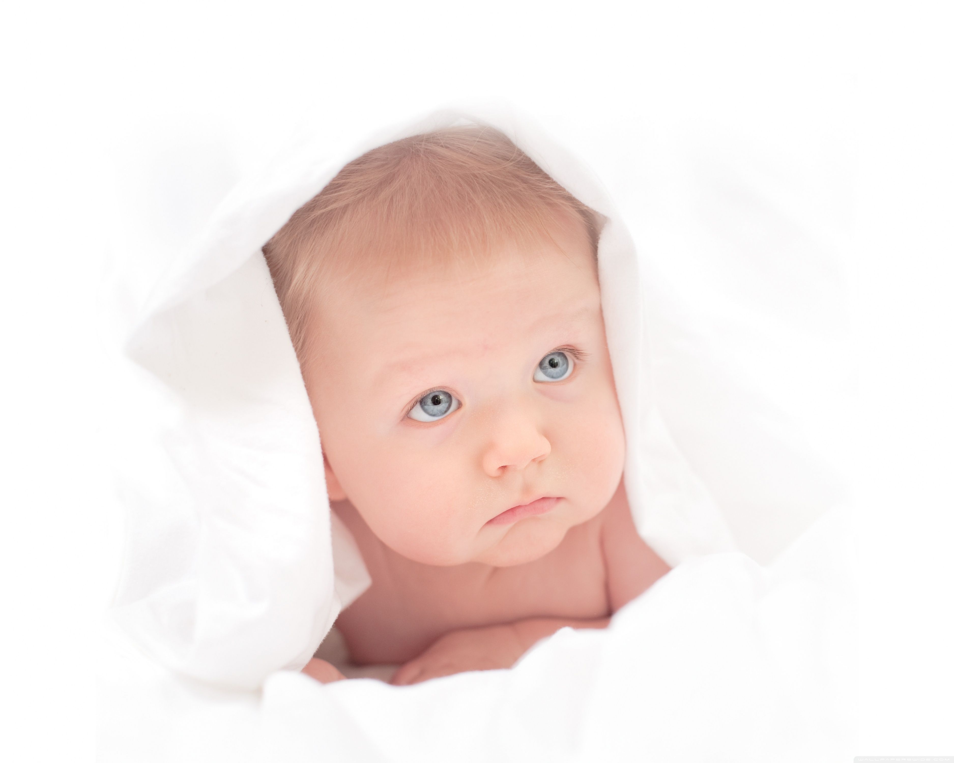 Cute Newborn Baby Boy Jacob Ultra HD Desktop Background Wallpaper for 4K UHD TV, Tablet