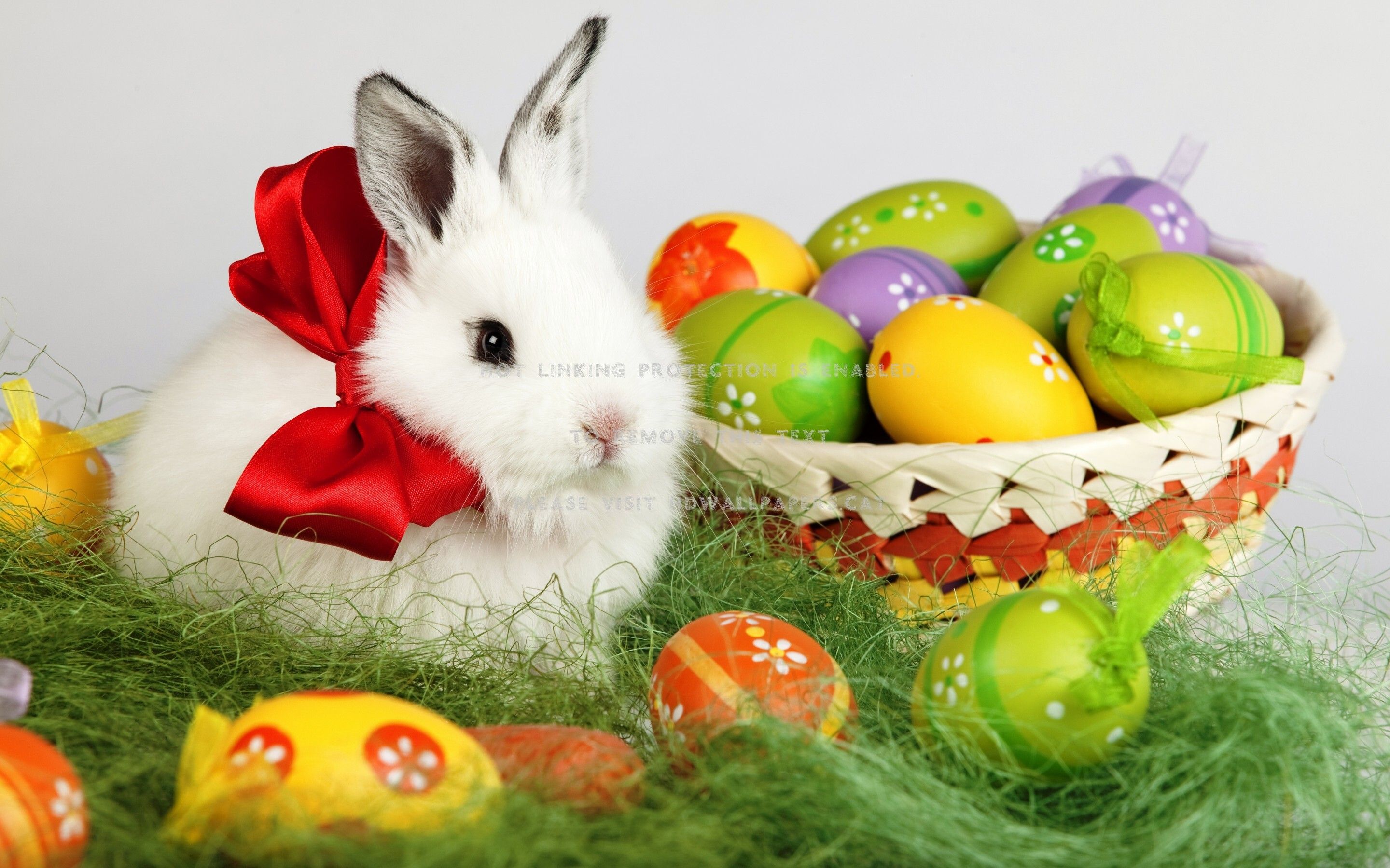 happy easter! basket animal red yellow cute