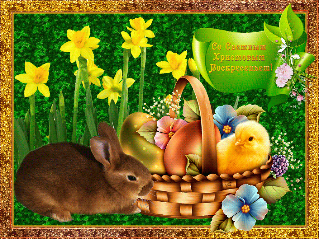 Easter Wishes HD Wallpaper Freeto5animations.com Wallpaper, Gifs, Background, Image