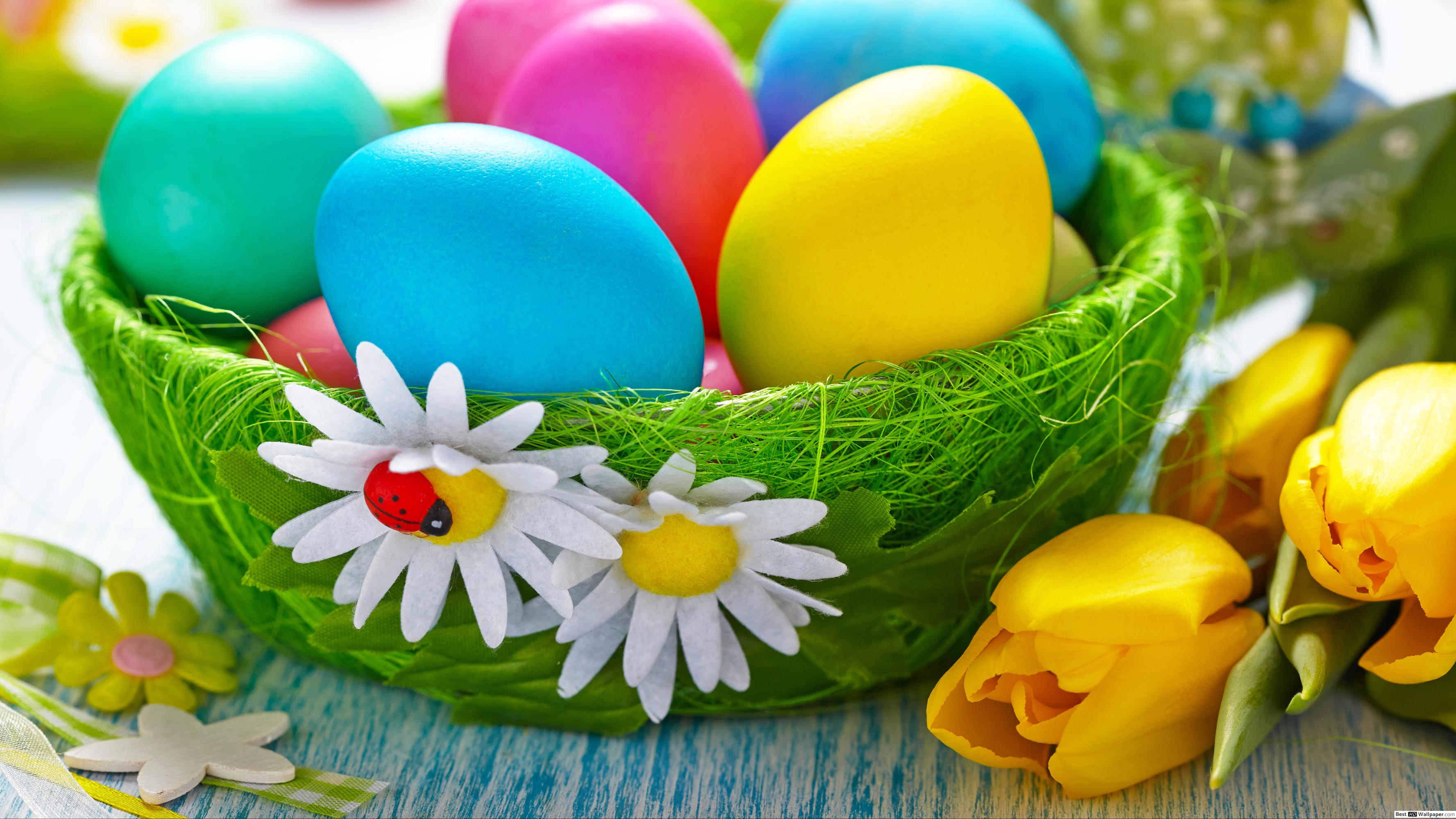 Happy Easter Color Egg Basket HD wallpaper download