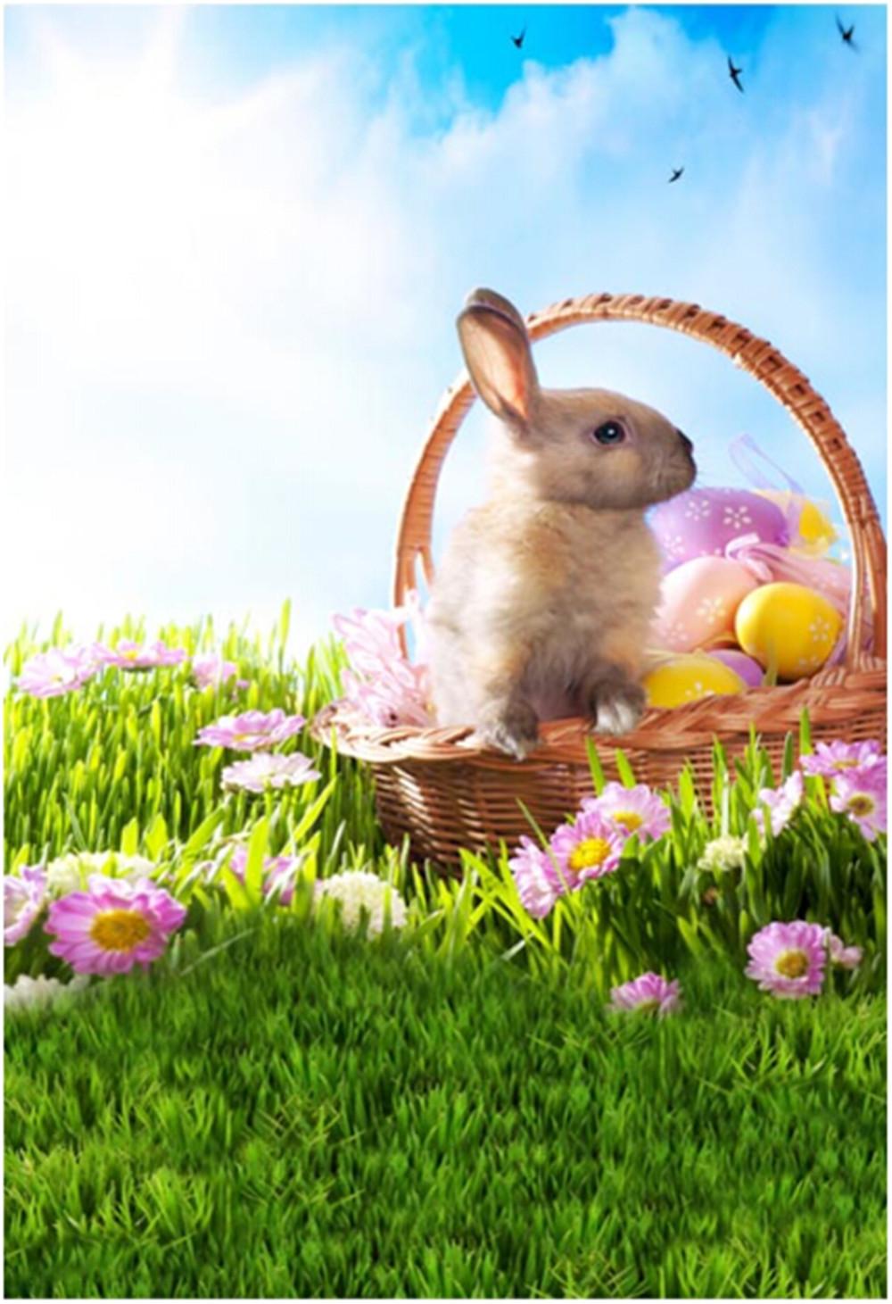 Free download 2019 Happy Easter Egg Basket Rabbit Vinyl Photography Background [1000x1461] for your Desktop, Mobile & Tablet. Explore Happy Easter Background. Happy Easter Wallpaper, Easter Picture Wallpaper, Easter 2016 Wallpaper