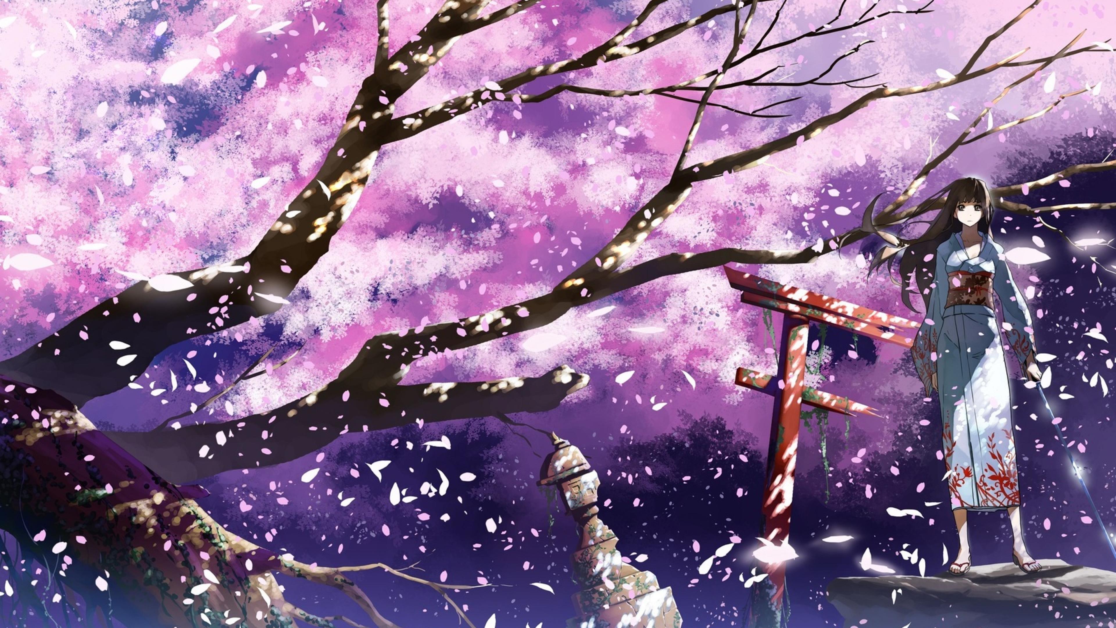 Anime Background Wallpaper Sakura