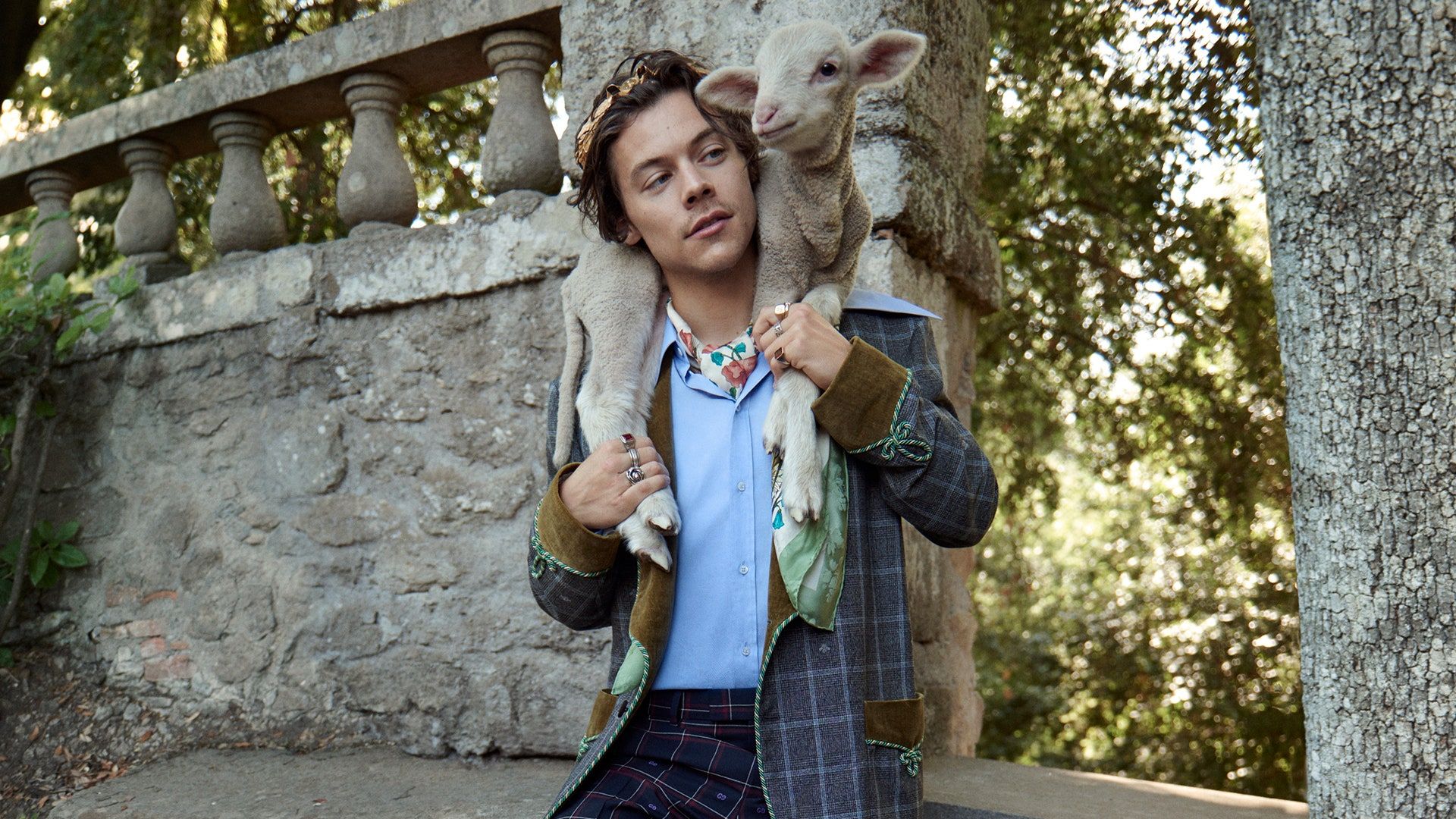 Harry Styles Stars In Second Gucci Campaign For Cruise 2019 Men's Tailoring Collection
