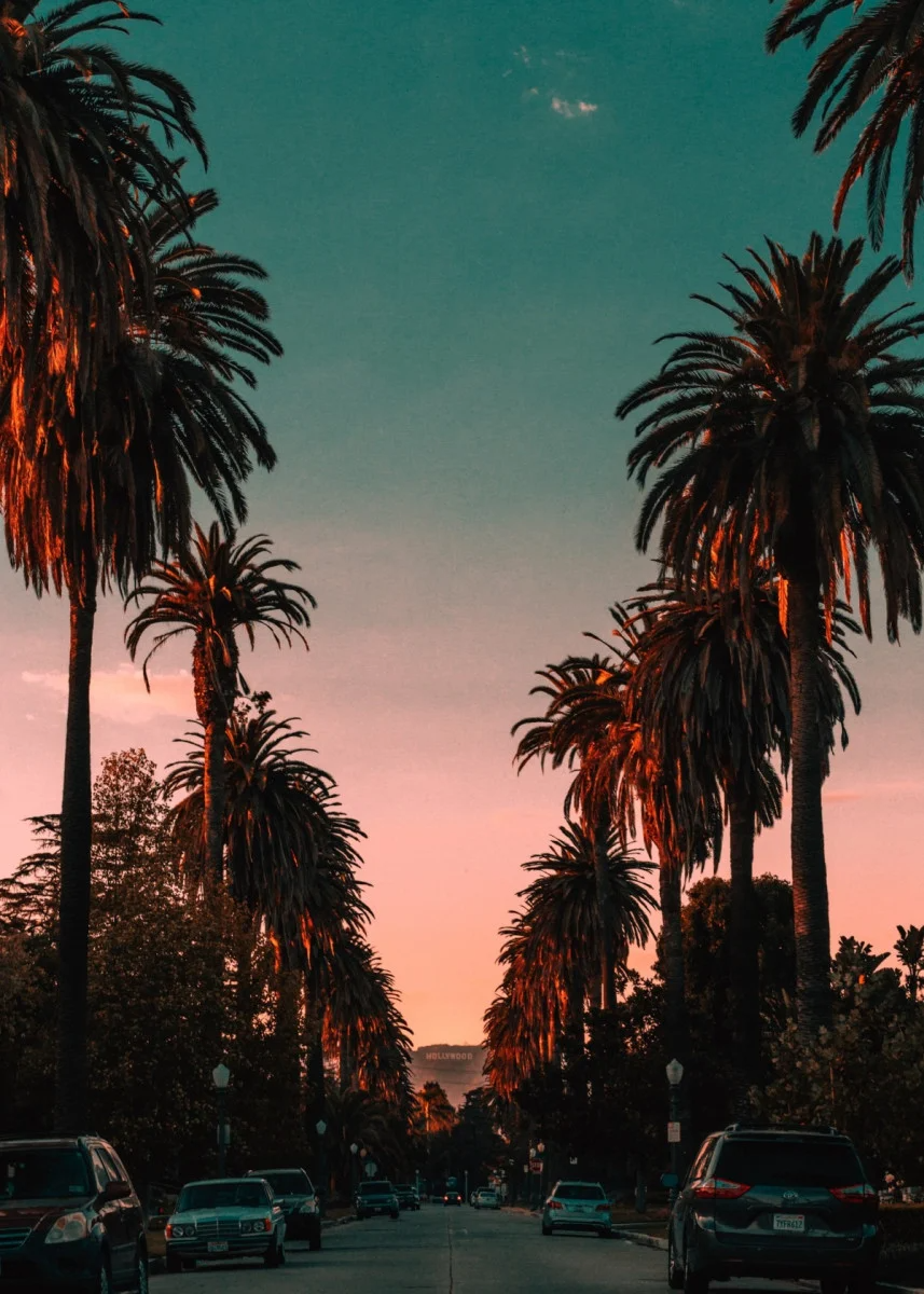 Hollywood Palm Trees' Poster. art print by Uncommon Nature. Displate. Landscape wallpaper, Beautiful landscape wallpaper, California picture