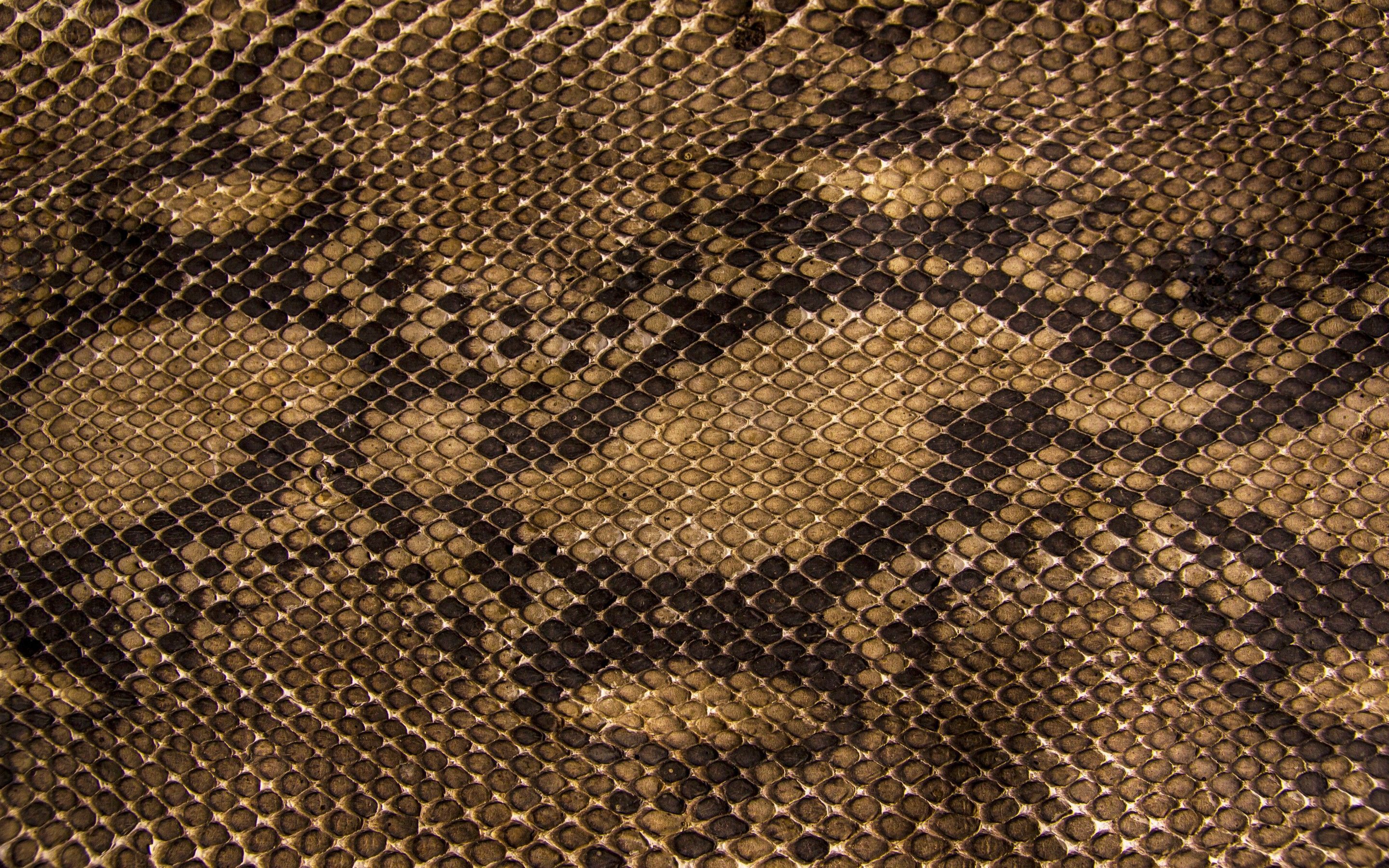 Snake Skin Wallpapers.
