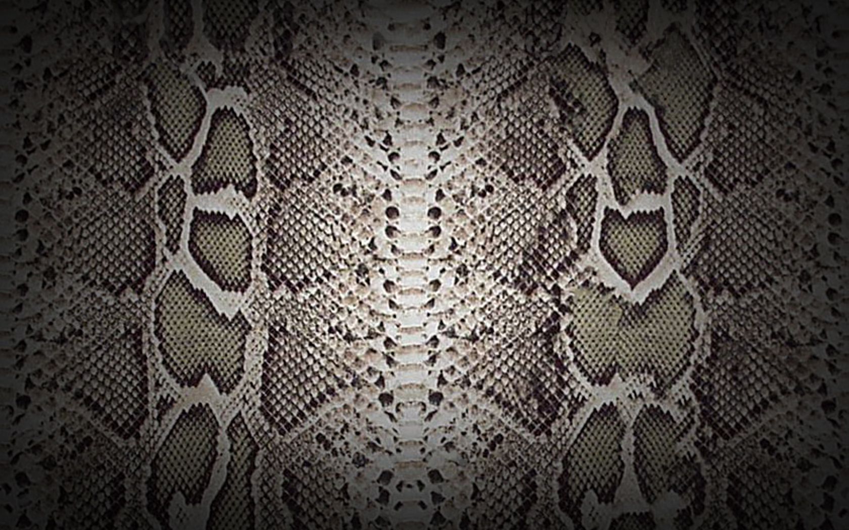 Snakeskin Textured Wallpaper