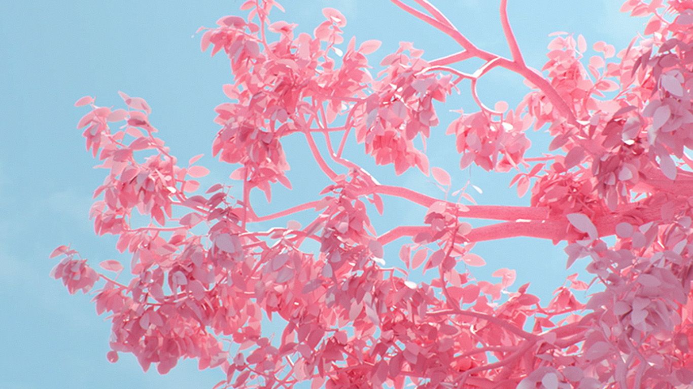 Tree Pink Spring Digital Art Illustration Wallpaper