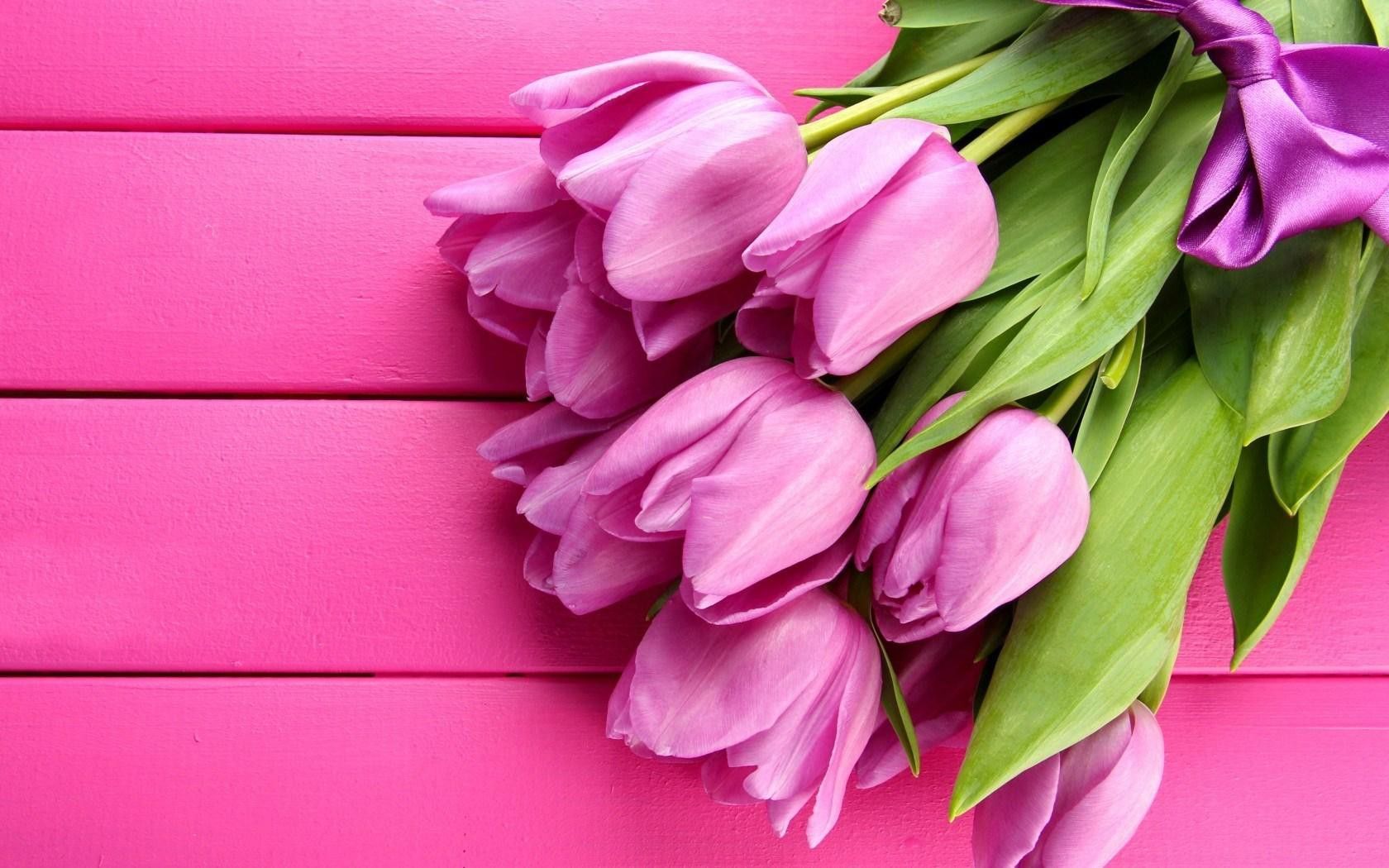 Free download Flowers Spring Lovey Pink Tulips HD Wallpaper New HD Wallpaper [1680x1050] for your Desktop, Mobile & Tablet. Explore Pink Spring Flower Wallpaper. Pink Flower Wallpaper, Pink Flowers