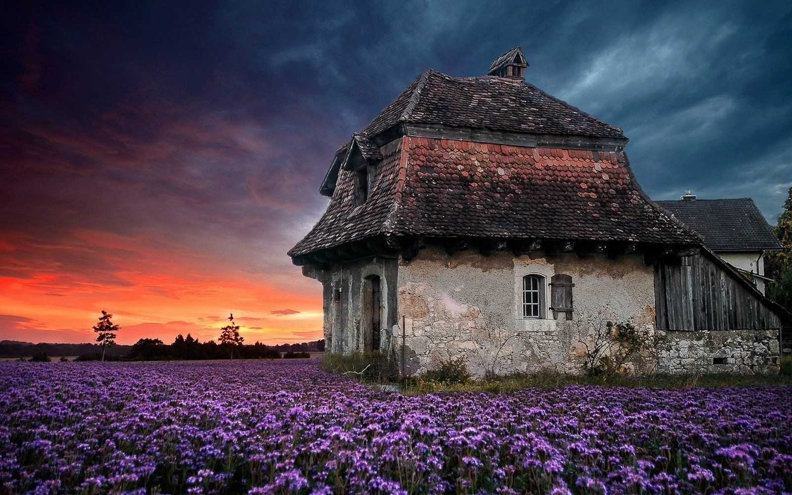 Clouds Farm field flowers house landscape Lavender nature Old Purple sky Spring sunset wallpaperx1000